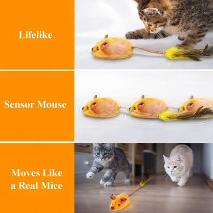 Interactive Cat Toy With LED Lights